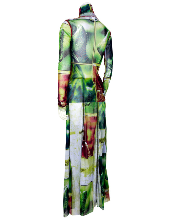 Green and Red Nature Print Mesh Top & Maxi Skirt Set