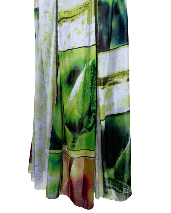 Green and Red Nature Print Mesh Top & Maxi Skirt Set