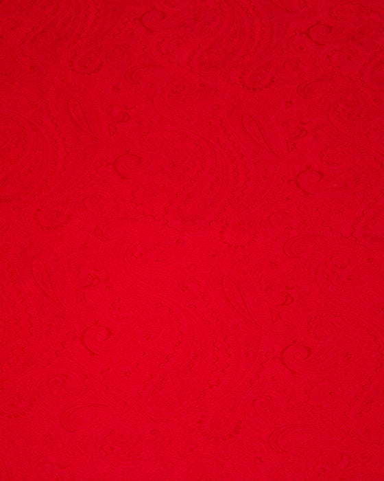 Red Silk Scarf with Gold CC Chain Print